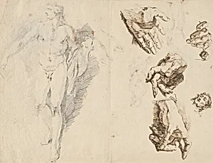 Apollo and Studies of the Artist's Own Hand [recto]
