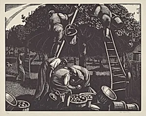 Apple Picking