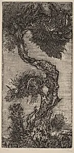 Arbuste (Shrubs)