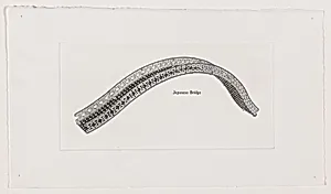 Arch Bridges [working proof 1]