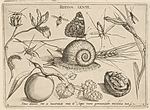Archetypa studiaque patris Georgii Hoefnagelii [Part 1, Plate 2]