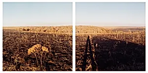 Area burned as part of prairie management program