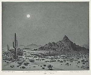 Arizona Night