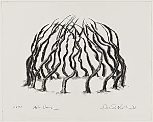 Ash Dome