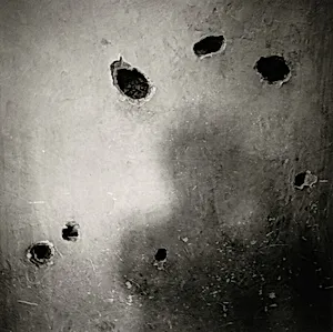 Autorretrato en la casa de Trotsky, Ciudad de México, México (Self-Portrait in Trotsky's House, Mexico City, Mexico)
