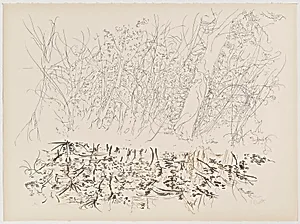 Autumn Lake from Of Nature, Of Man