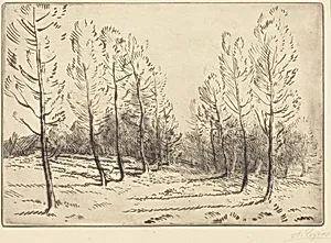 Avenue of Poplars (L'allee de peupliers) by Alphonse Legros