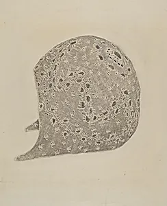 Baby's Lace Cap