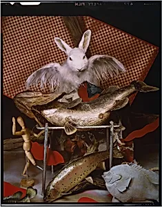 Bass, Rabbit, Trout