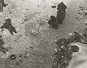 Battle for Stalingrad, German Casualties in Soviet Care (II)