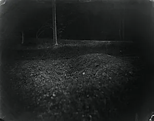 Battlefields, Antietam (Trenches)