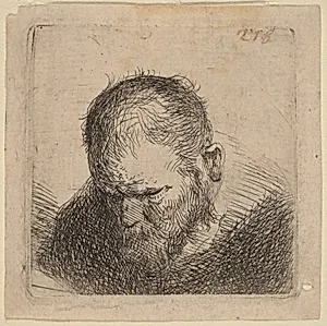 Bearded Man Looking Down