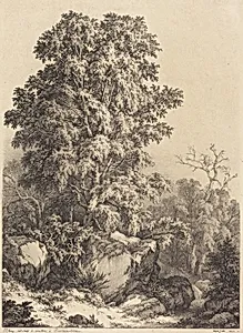 Beech Grove