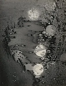 Beginnings, Frosted Window (72 N. Union Street, Rochester)
