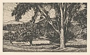 Beyond the Elm