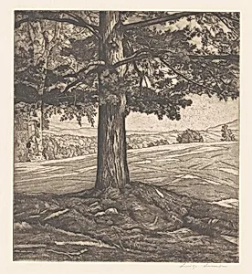 Beyond the Pine