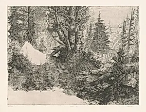 Birches