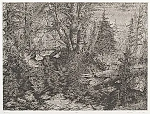 Birches