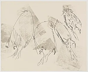 Birds from Of Nature, Of Man