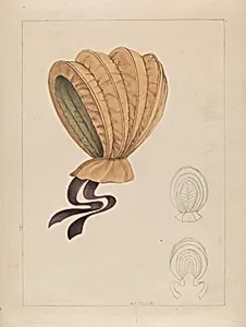 Bonnet