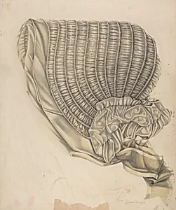Bonnet