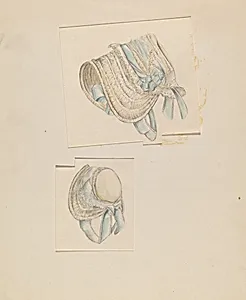 Bonnet