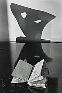 Book and Shadow, New York