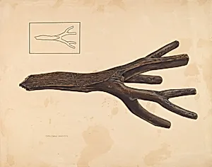 Bootjack by Lloyd A. Davidson