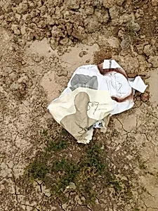Border Patrol Target #2, Lower Rio Grande National Wildlife Refuge, Texas