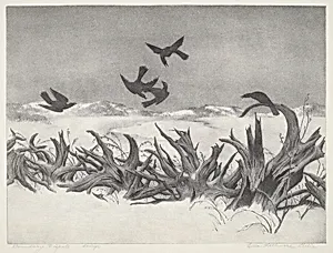 Boundary Dispute