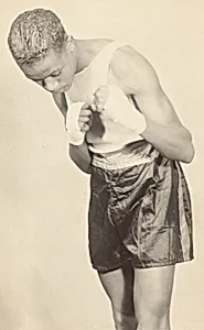 Boxer's Stance #4