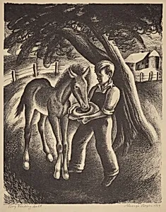 Boy Feeding Colt