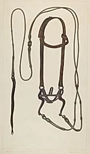 Bridle with Braided Rawhide Reins