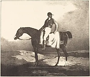 British Horse and Jockey