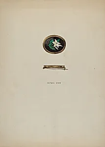 Brooch