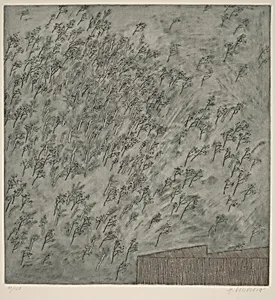 Brízy (Birch Trees)
