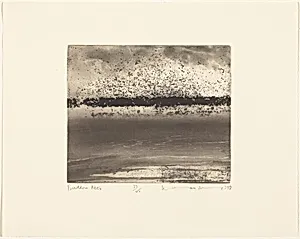 Buddon Ness