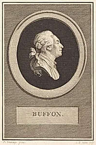 Buffon