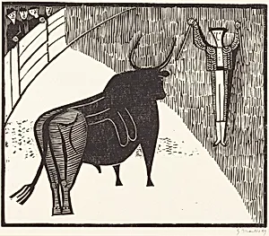 Bull Fight