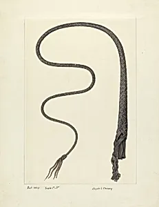 Bull Whip