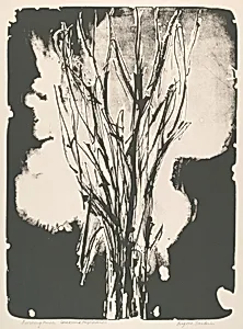 Burning Bush