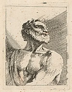 Bust of a Bearded Man