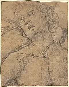 Bust of a Youth Looking Upward [recto]