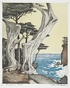 California Coast