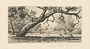 California Landscape