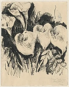 Calla Lilies (recto)