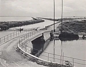 Camargue, France