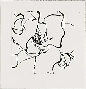 Camellia Pink [working proof 4]