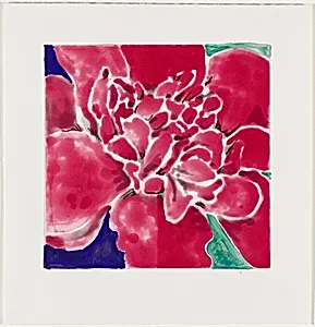 Camellia Red [working proof 3]