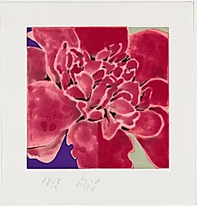 Camellia Red [working proof 4]